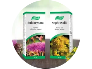 Ondersteun-jou-liggaam-en-organe-op-’n-natuurlike-manier -2_result